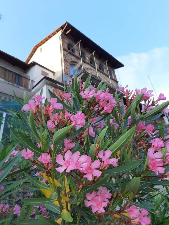 Le Case Di Angelina - Langhe Loft & Suites 파리글리아노 외부 사진